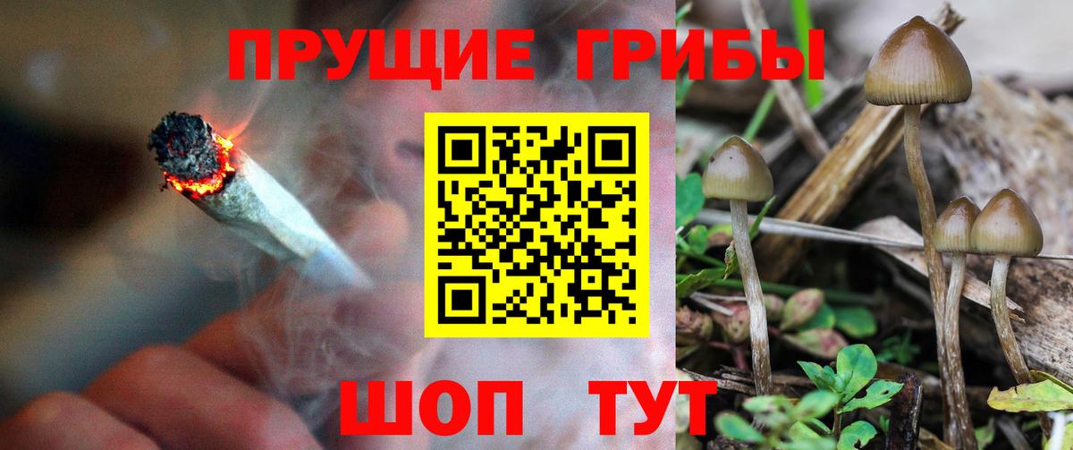 Псилоцибиновые грибы мухоморы  Галлюциногенные грибы Magic Shrooms  Вход с VPN  Кызыл 